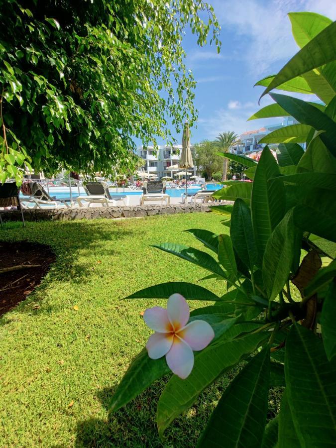 Private Apartment 150 Hg Tenerife Sur Лос Кристианос Экстерьер фото